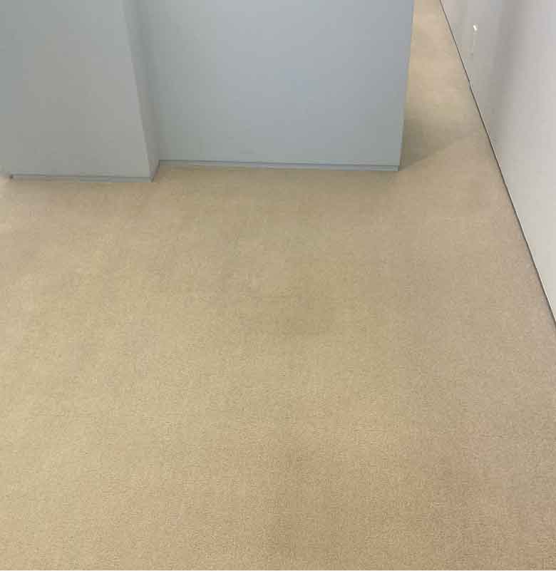 カーペットクリーニング