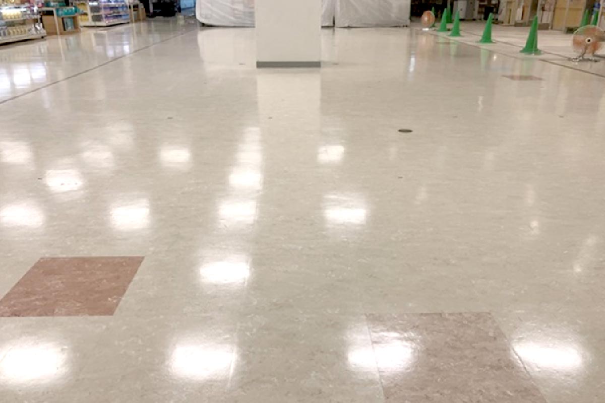 実績紹介